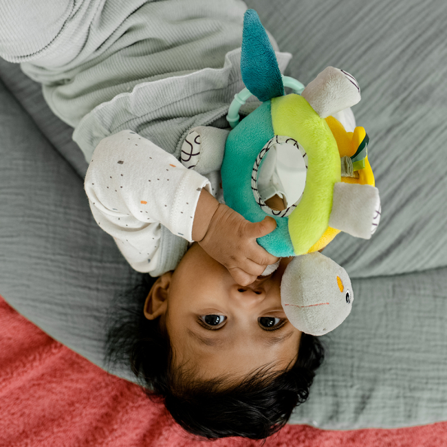 Развивающие игрушки - Развивающая игрушка Fehn Активная черепаха (049114) (4001998049114)#6