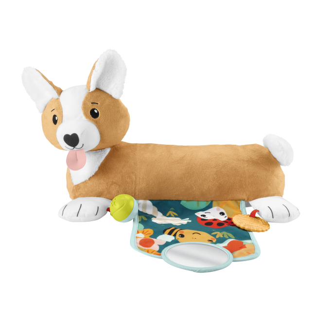 Розвивальні іграшки - Розвиваючий набір Fisher-Price Цуценя (HJW10)#2