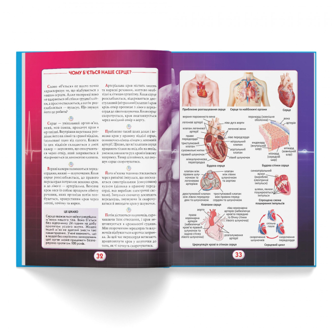 Пізнавальні книги (4-10 років) - Книжка «Ви маєте це знати Тіло людини» (9786175474099)#4