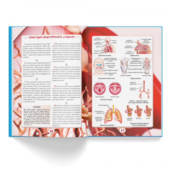 Пізнавальні книги (4-10 років) - Книжка «Ви маєте це знати Тіло людини» (9786175474099)#6