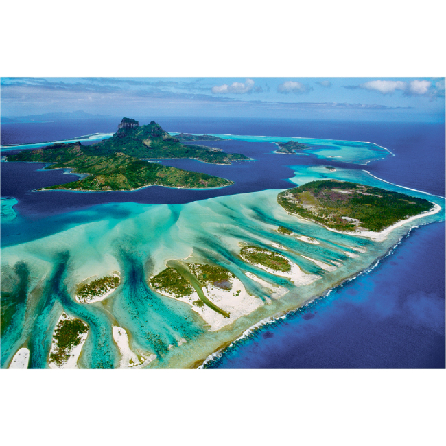 Пазли - Пазл Eurographics Врятуємо нашу планету Кораловий риф 1000 елементів (6000-5538)#2