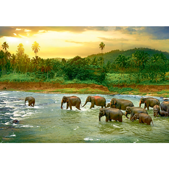 Пазли - Пазл Eurographics Врятуємо нашу планету Тропічний ліс 1000 елементів (6000-5540)#2