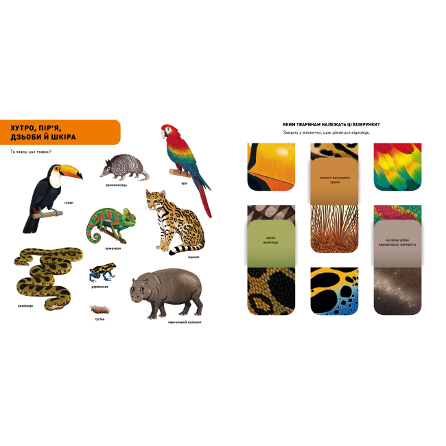 Познавательные книги (4-10 лет) - Книжка «DOC Секрети Тварини джунглів» (9786177940776)#2