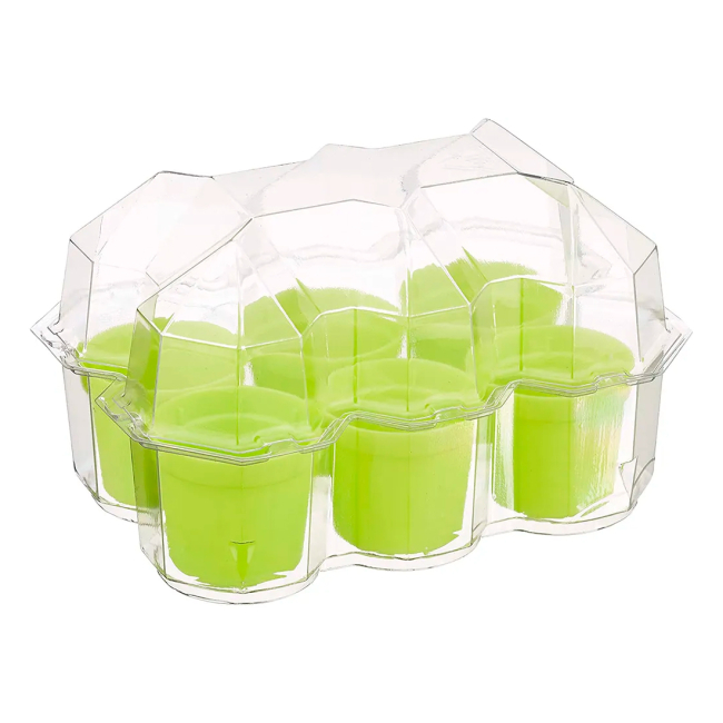 Научные игры, фокусы и опыты - Набор для опытов Kosmos Сад мимозы (616809)#3