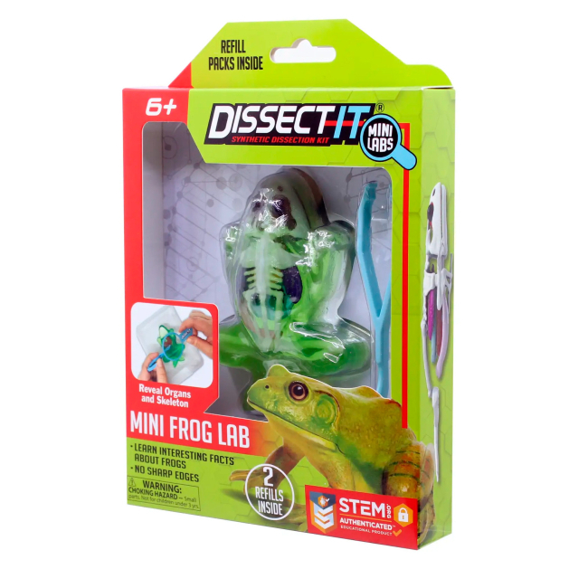 Наукові ігри, фокуси та досліди - Набір для дослідів Joker Slimy Lab Анатомія тварин - Жабеня S (38083)#2