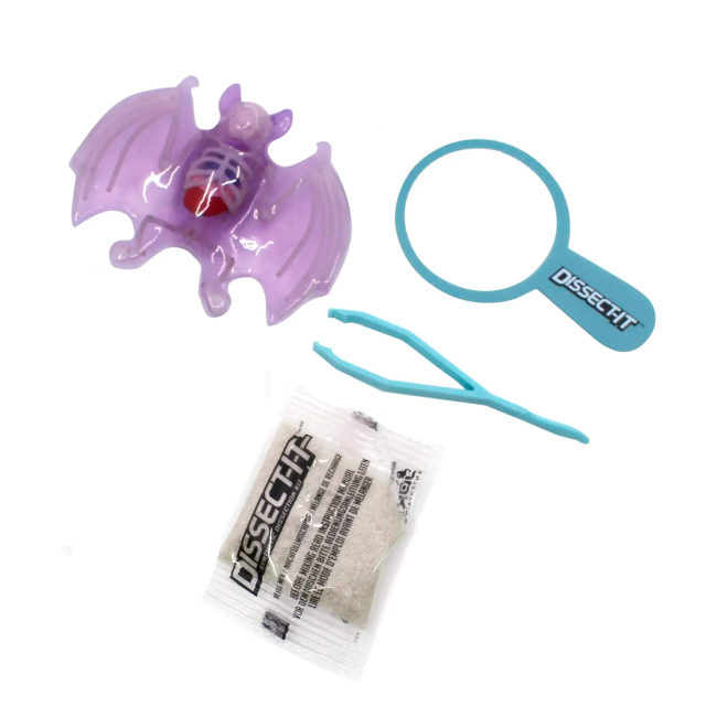 Научные игры, фокусы и опыты - Набор для опытов Joker Slimy Lab Анатомия животных - Летучая мышь S (38087)#3