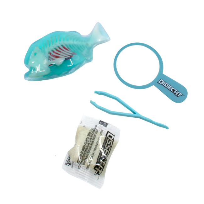 Научные игры, фокусы и опыты - Набор для опытов Joker Slimy Lab Анатомия животных - Пиранья S (38086)#3