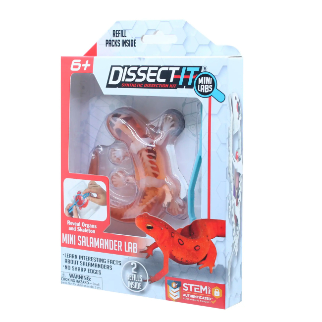 Научные игры, фокусы и опыты - Набір для дослідів Joker Slimy Lab Анатомия животных - Саламандра S (38085)#2