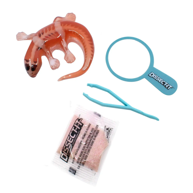 Научные игры, фокусы и опыты - Набір для дослідів Joker Slimy Lab Анатомия животных - Саламандра S (38085)#3