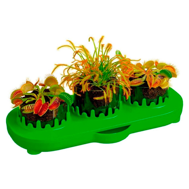 Наукові ігри, фокуси та досліди - Набір для дослідів Kosmos Венерина мухоловка (616977)#3