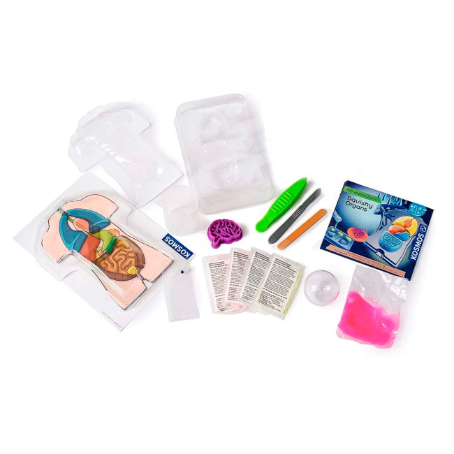 Наукові ігри, фокуси та досліди - Набір для експериментів Kosmos Желейні органи (616816)#2