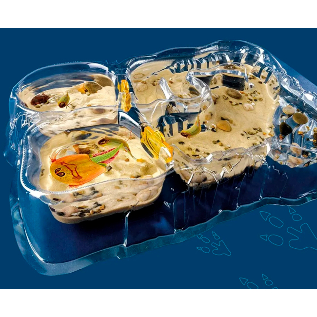 Наукові ігри, фокуси та досліди - Набір для дослідів Kosmos Triops World (616748)#2