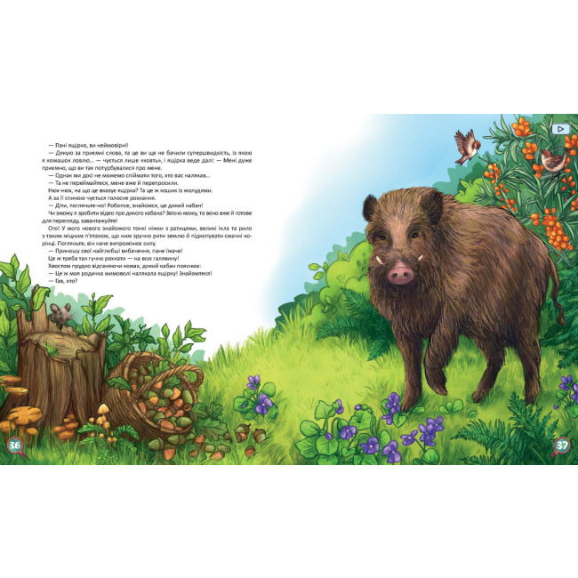 Художественная литература для детей (7-13 лет) - Книжка «Хвости Найперший детектив» Анна Захарук (9786178253646)#3