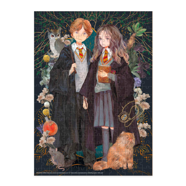 Пазли - Пазл Dodo Medium-M Harry Potter Герміона та Рональд 300 елементів (200499)#2