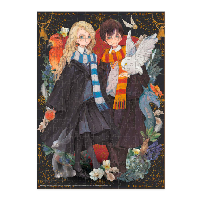 Пазлы - Пазл Dodo Medium-M Harry Potter Луна и Гарри 300 элементов (200500)#2