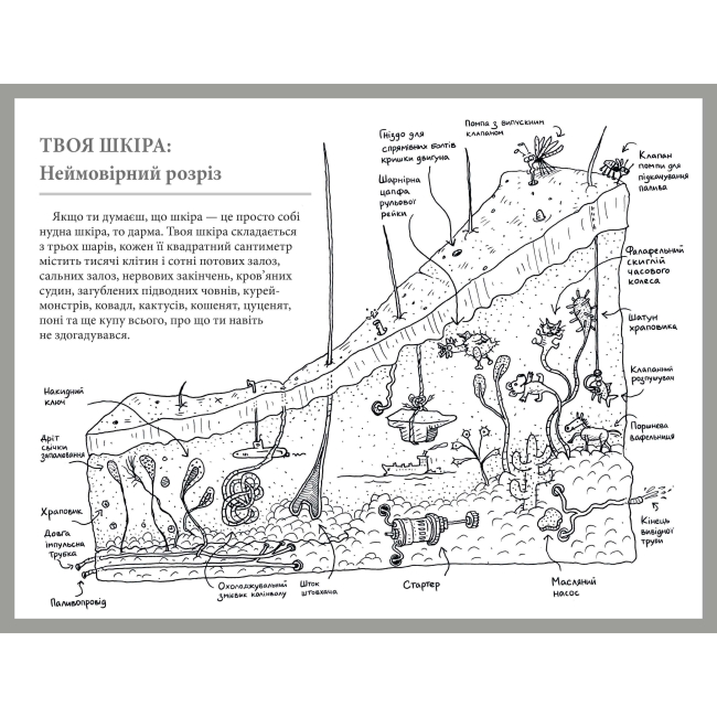 Пізнавальні книги (4-10 років) - Книжка «Що це за орган? Дурнуватий довідник з анатомії твого тіла» Енді Ґріффітс (000318)#4