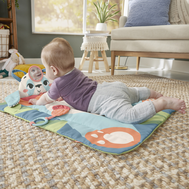 Развивающие коврики - Коврик-игровой центр Fisher-Price Панда (HKD65)#4