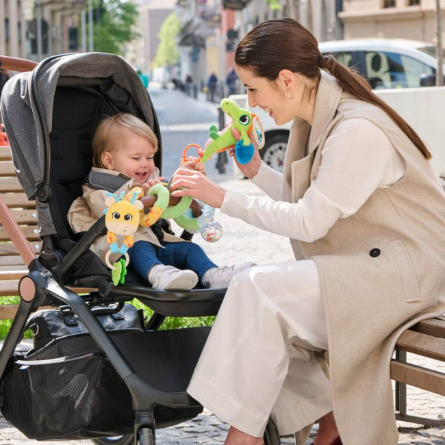 Подвески, мобили - Подвеска-погремушка Chicco Крокодил (11561.00)#4