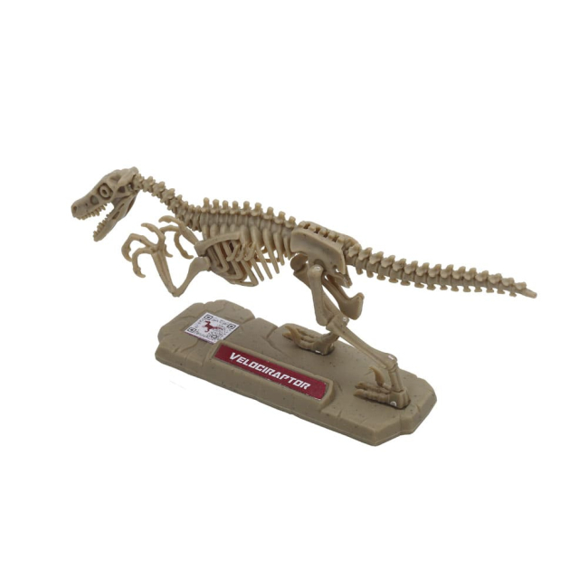 Конструктори з унікальними деталями - Конструктор Dino Valley Міні скелет динозавра (542040)#4