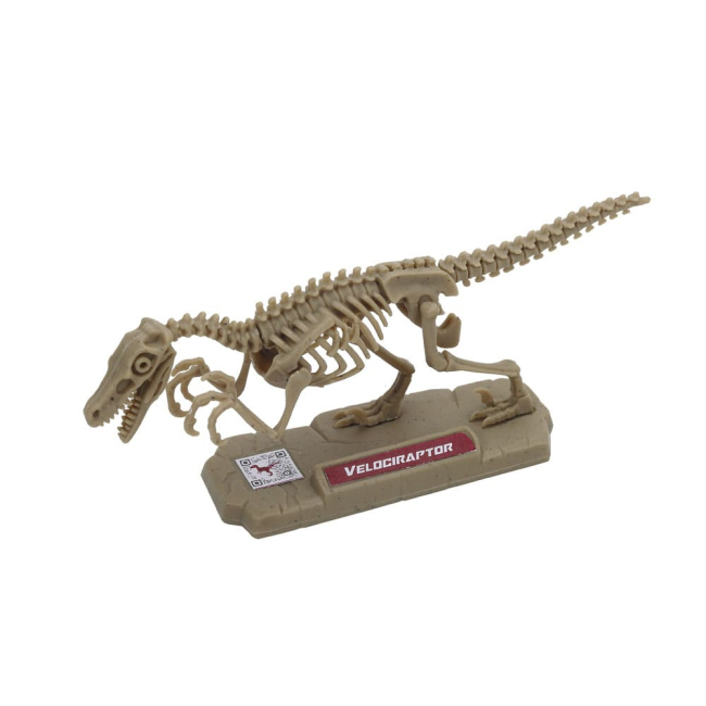 Конструктори з унікальними деталями - Конструктор Dino Valley Міні скелет динозавра (542040)#5