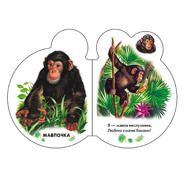 Книги для найменших (0-3 років) - Книжка «Малята У зоопарку» Ірина Сонечко (М411018У)#3