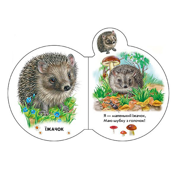 Книги для найменших (0-3 років) - Книжка «Малята У лісі» Ірина Сонечко (М411017У)#2