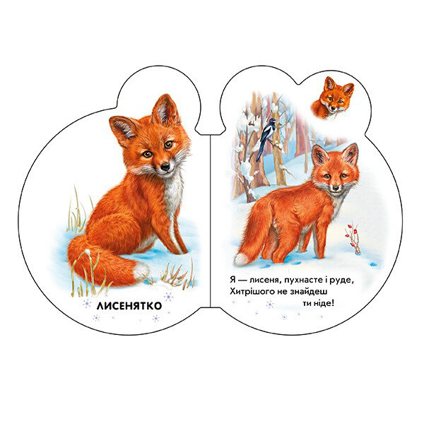 Книги для найменших (0-3 років) - Книжка «Малята У лісі» Ірина Сонечко (М411017У)#3