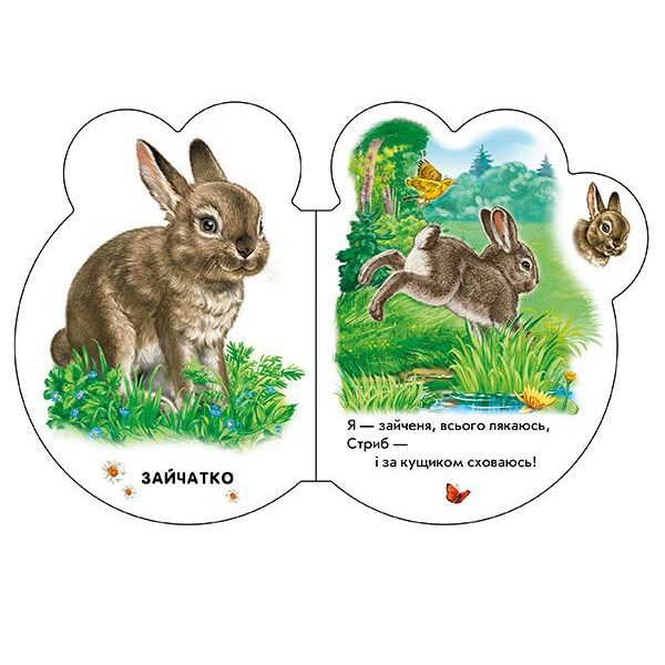 Книги для найменших (0-3 років) - Книжка «Малята У лісі» Ірина Сонечко (М411017У)#4