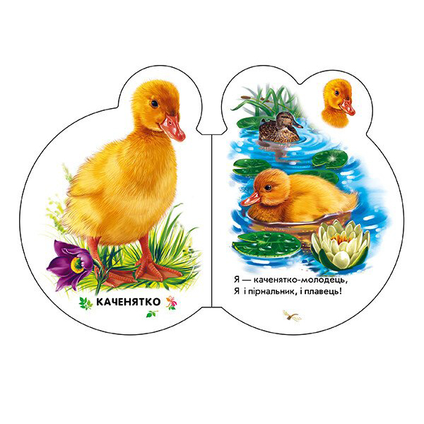 Книги для самых маленьких (0-3 года) - Книжка «Малята У селі» Ірина Сонечко (М411016У)#3