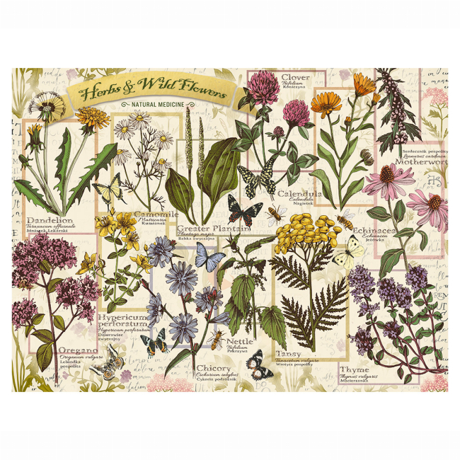 Пазли - Пазл Trefl Гербарій: Лікарські трави 500 елементів (37478)#3
