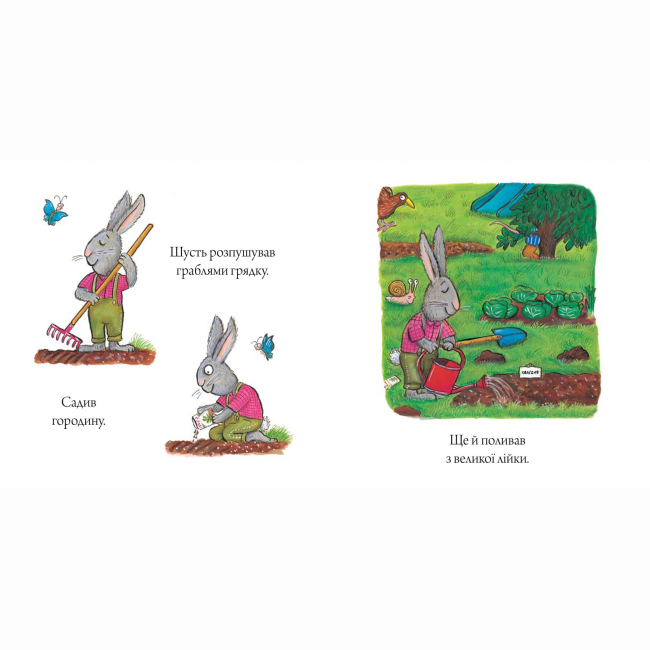 Книги-картинки для детей (2-6 лет) - Книжка «Шусть і Шуня. Приязний равлик» (9786177940417)#3