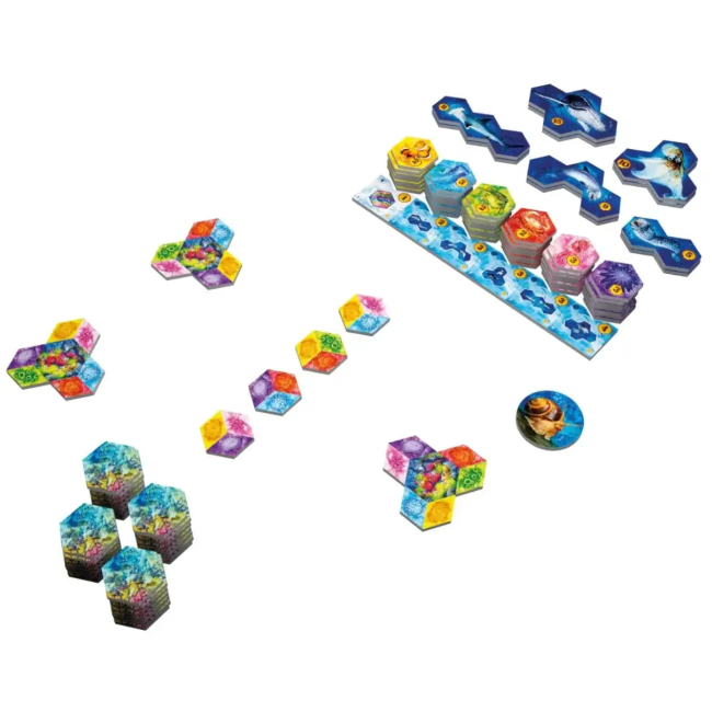 Настільні ігри - Настільна гра Lord of boards Aqua Океанське біорізноманіття (LOB2331UA)#2