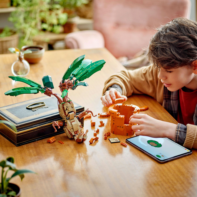 Конструкторы LEGO - Конструктор LEGO Harry Potter Корень мандрагоры (76433)#5