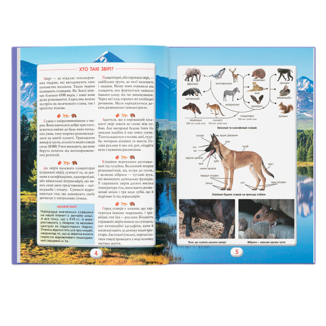Пізнавальні книги (4-10 років) - Книжка «Ви маєте це знати. Світ звірів» (9786175474693)#3