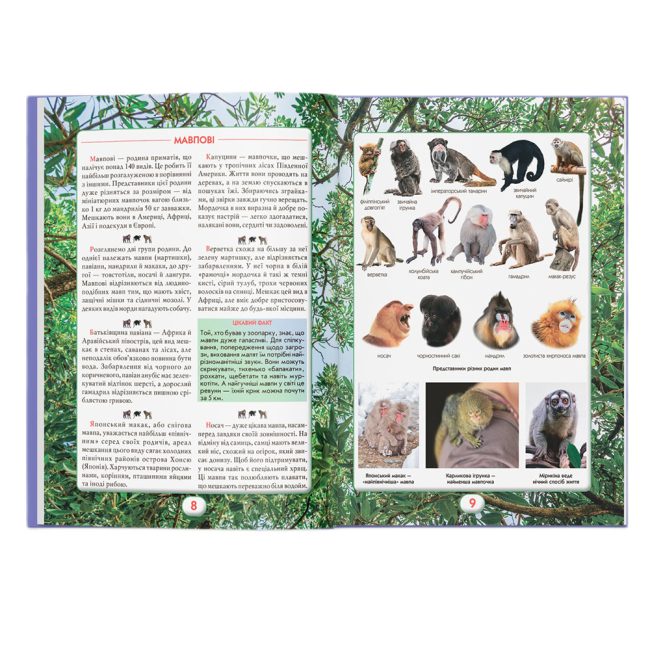 Пізнавальні книги (4-10 років) - Книжка «Ви маєте це знати. Світ звірів» (9786175474693)#4