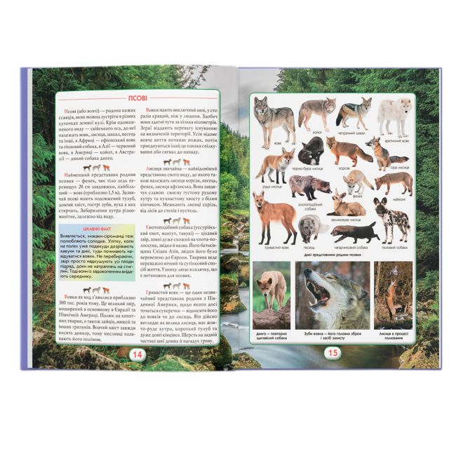 Пізнавальні книги (4-10 років) - Книжка «Ви маєте це знати. Світ звірів» (9786175474693)#5