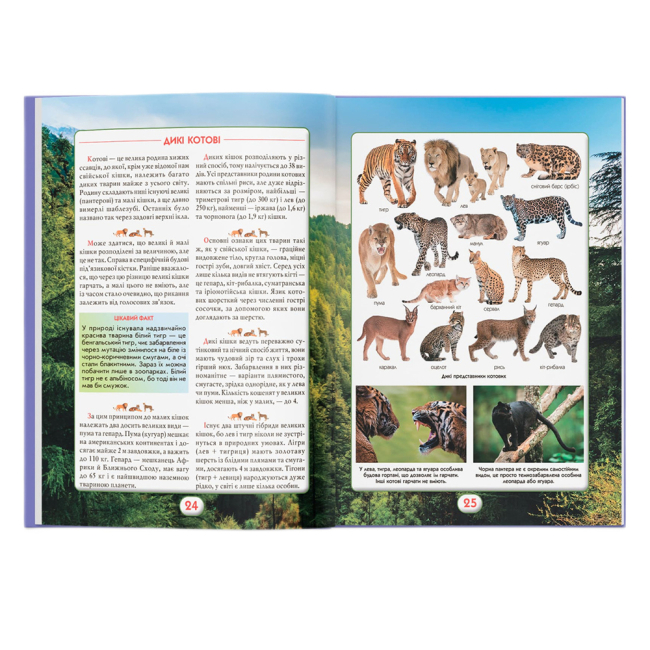 Пізнавальні книги (4-10 років) - Книжка «Ви маєте це знати. Світ звірів» (9786175474693)#6
