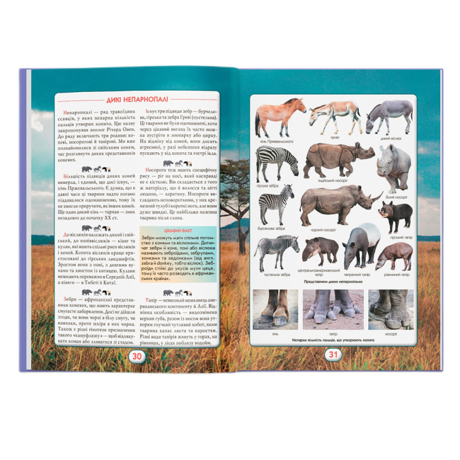 Пізнавальні книги (4-10 років) - Книжка «Ви маєте це знати. Світ звірів» (9786175474693)#7