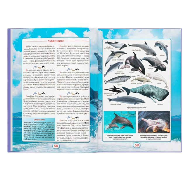 Пізнавальні книги (4-10 років) - Книжка «Ви маєте це знати. Світ звірів» (9786175474693)#8