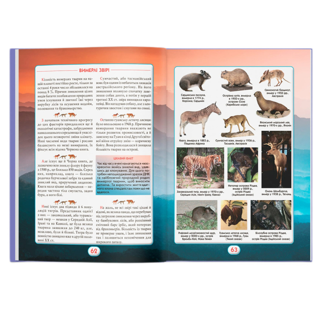 Пізнавальні книги (4-10 років) - Книжка «Ви маєте це знати. Світ звірів»  (9786175474693)#9