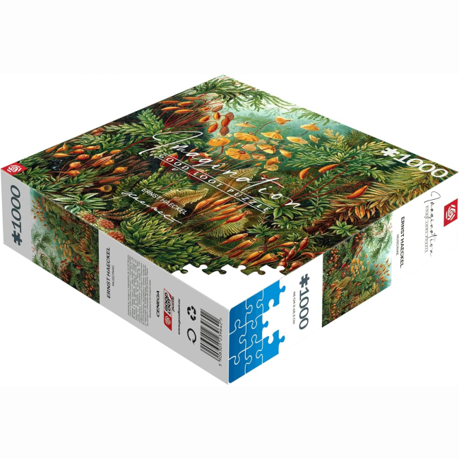 Пазли - Пазл GoodLoot Imagination: Ernst Haeckel Muscinae 1000 елементів (5908305239642)#3