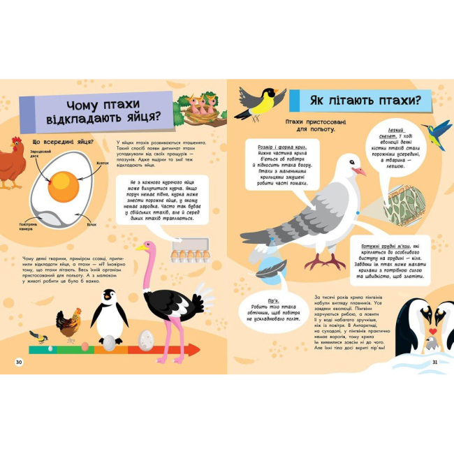 Пізнавальні книги (4-10 років) - ​Книжка «Велика енциклопедія для чомусика» (9786170976307)#7