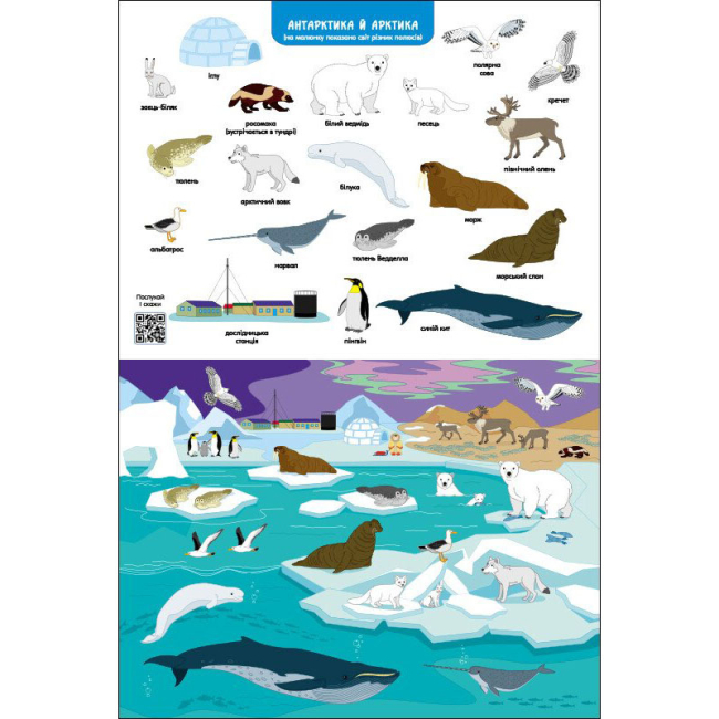 Навчальна література - Книжка «Ура! Ми заговорили! Яка і коли?» (9786170987204)#5