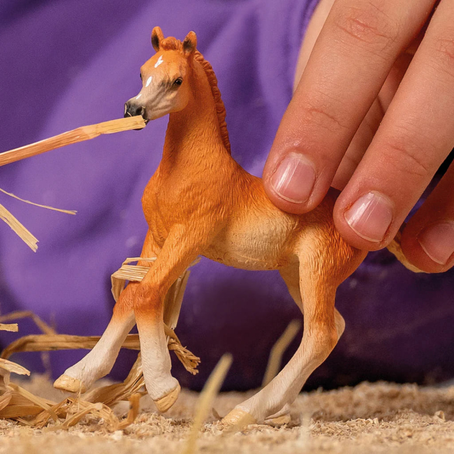 Фигурки животных - Фигурка Schleich Арабский жеребенок (13984)#2