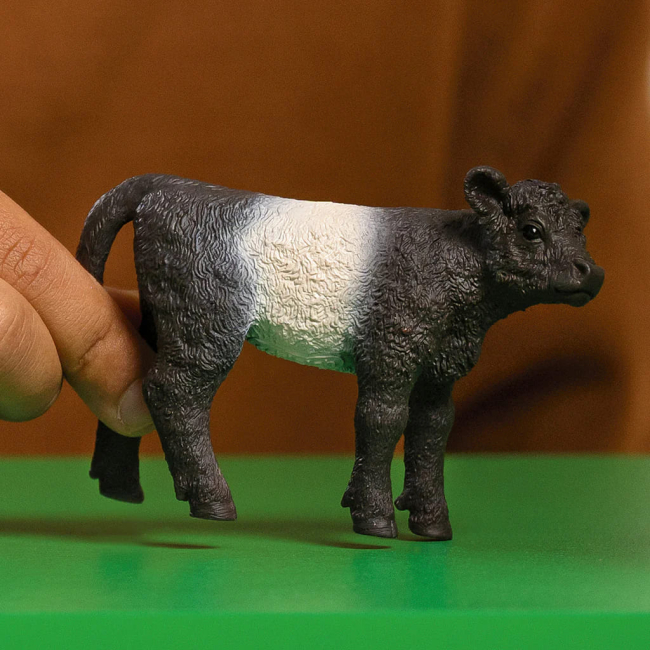 Фигурки животных - Фигурка Schleich Теленок Галлоуэй (13969)#2