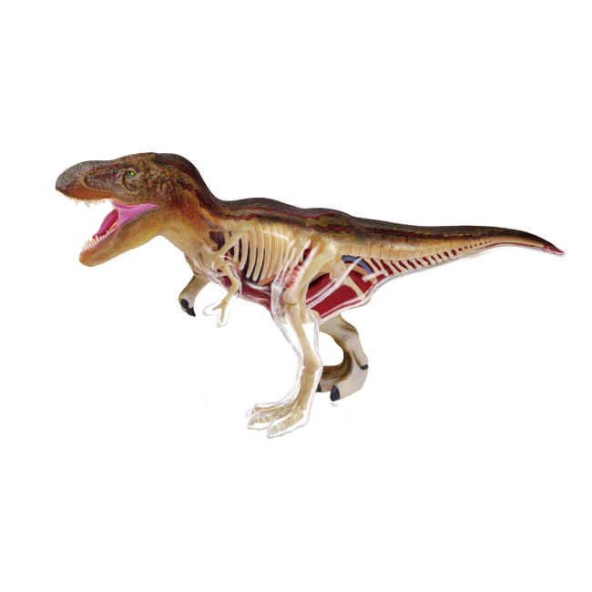 Наукові ігри, фокуси та досліди - Об'ємна модель 4D Master Тиранозавр (FM-622013)#3