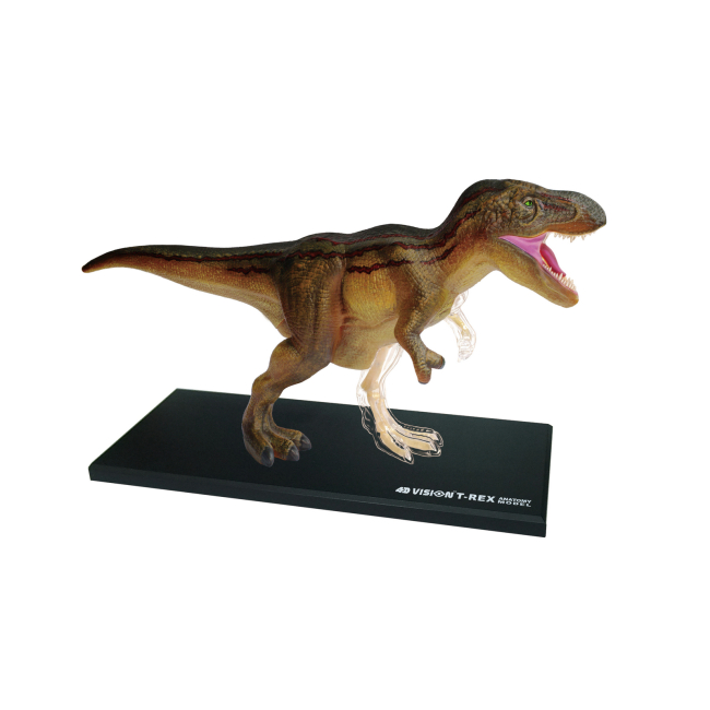 Наукові ігри, фокуси та досліди - Об'ємна модель 4D Master Тиранозавр (FM-622013)#4
