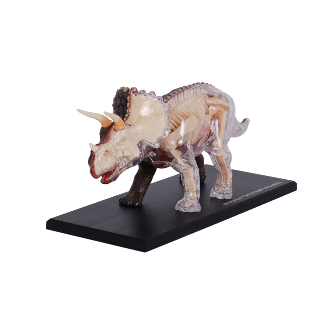 Научные игры, фокусы и опыты - Объемная модель 4D Master Трицератопс (FM-622014)#2
