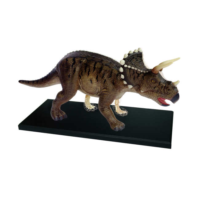 Научные игры, фокусы и опыты - Объемная модель 4D Master Трицератопс (FM-622014)#3