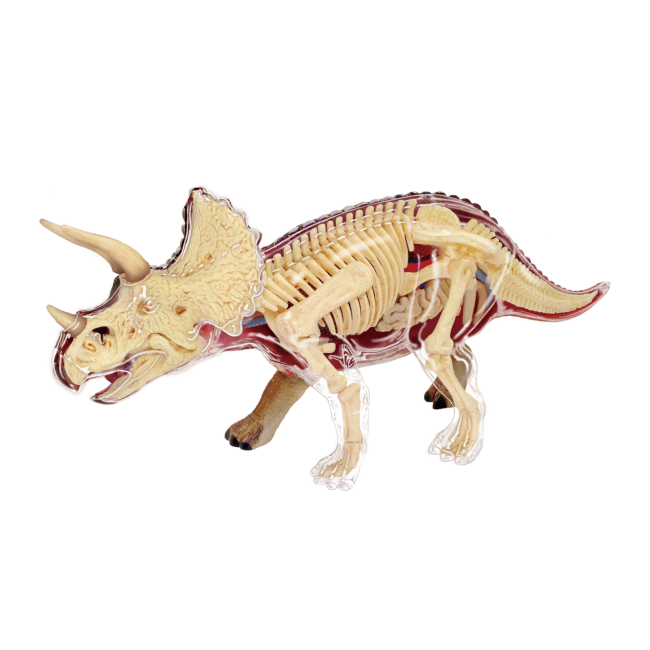 Научные игры, фокусы и опыты - Объемная модель 4D Master Трицератопс (FM-622014)#4